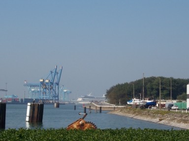 zeebrugge_docks_02_greenery.jpg